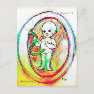 胎児　赤ちゃん　人体カラフルデザイン POSTKARTE