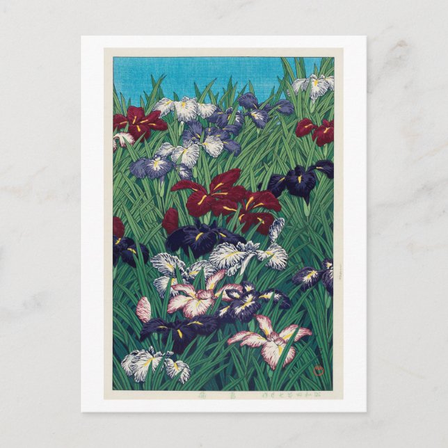 菖蒲, Iris, Hasui Kawase, Holzschnitt Postkarte (Vorderseite)