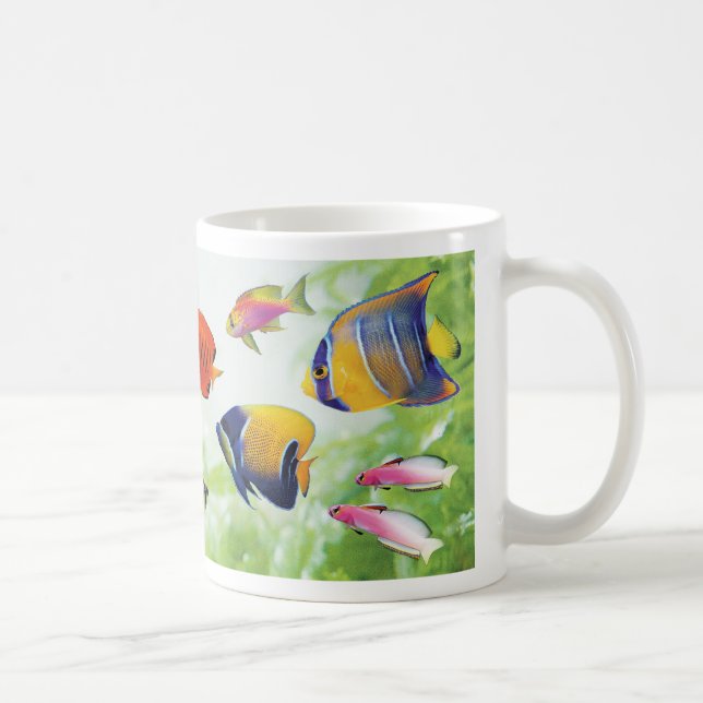 華やかな海水魚 TASSE (Rechts)