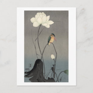 蓮にカワセミ, 古邨 Eisvogel auf Lotus, Koson, Ukiyo-e Postkarte