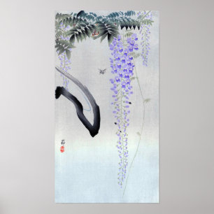 藤 花, 古 邨 blühende Wisteria, Ohara Koson, Woodcut Poster