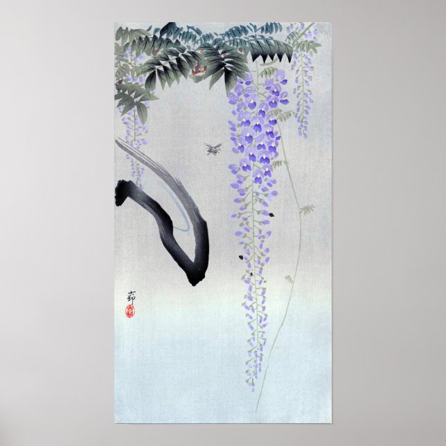 藤 花, 古 邨 blühende Wisteria, Ohara Koson, Woodcut Poster (Vorne)