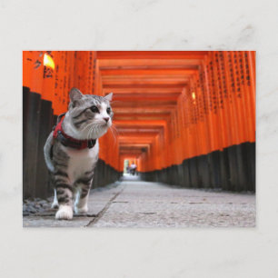 野 良 猫 ニ 吉 伏 POSTKARTE
