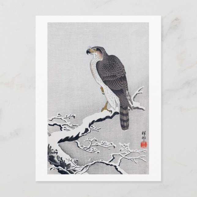 雪 に 鷹, 古 Hawk auf dem verschneiten Zweig, Ohara Ko Postkarte (Vorderseite)