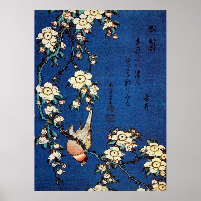 鳥 と 枝 桜, 北 Bird and Weeping Cherry Tree, Hokusai Poster (Vorne)