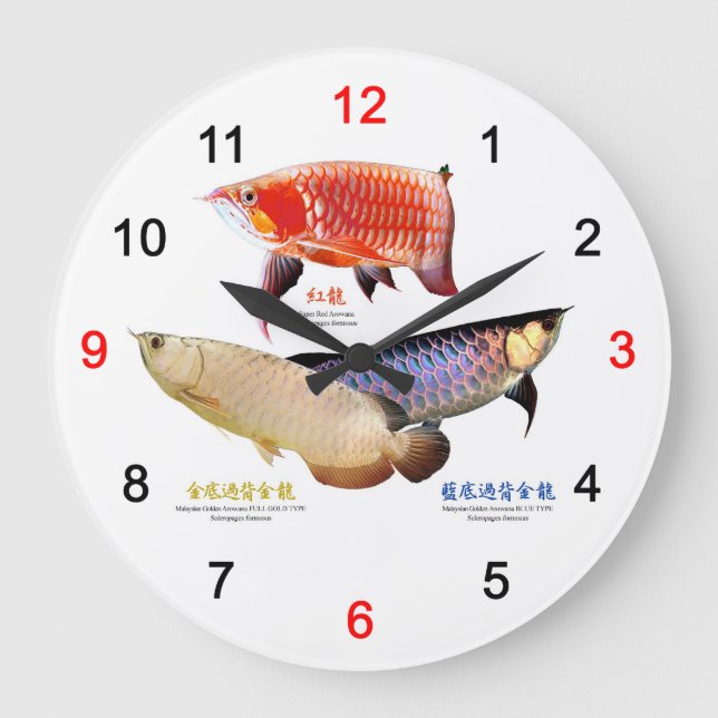３種類のAsian Arowana Große Wanduhr (Vorderseite)