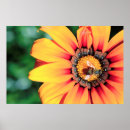 Suche nach pollen poster Biene