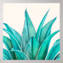 Suche nach agave poster Kakteen