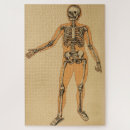 Suche nach vintage anatomie puzzle Menschliche skelettkunst