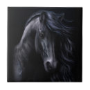 Suche nach schwarzes pferd fliesen Wild
