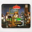 Suche nach coolidge hunde Die poker spielen