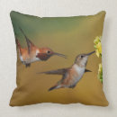 Suche nach kolibri kissen Vogelbeobachtung