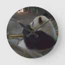 Suche nach niedlicher panda wanduhren Natur
