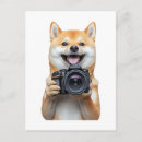 Suche nach shiba inu welpe poster Weimaraner