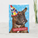 Suche nach party animal karten Spaß