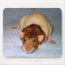 Suche nach begleiter mousepads Foto