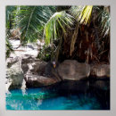 Suche nach mandrill poster Baboon