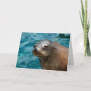 Suche nach fernbeziehung karten Vermissen