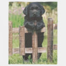 Suche nach schwarzer wolf decken Hund