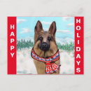 Suche nach schäferhund postkarten Weihnachten