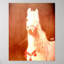 Suche nach sinti und roma kunst poster Böhmisch