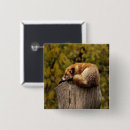 Suche nach kleiner fuchs buttons Natur