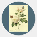 Suche nach botanischer druck aufkleber Rose