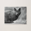 Suche nach weiße und schwarze katze puzzle Kätzchen