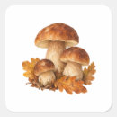 Suche nach eichenblatt aufkleber Wald