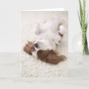 Suche nach tierkörperteil karten Von nahem