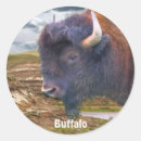 Suche nach badlands geschenkverpackung Büffel