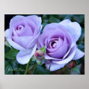 Suche nach archive poster Blume