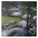 Suche nach regenwald fliesen Tag