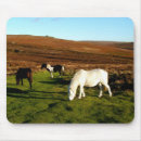 Suche nach ponys mousepads Tiere