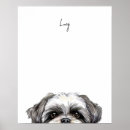 Suche nach shih tzu hunde poster Hundeliebhaber