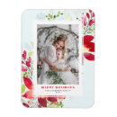 Suche nach weihnachten Botanisch