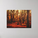 Suche nach forrest Aquarell