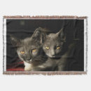 Suche nach katzen krüge Kätzchen