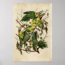 Suche nach carolina poster Illustration