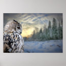 Suche nach feder poster Wald