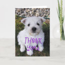 Suche nach welpe fotokarten Fotokarte für hunde
