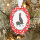 Suche nach windhund schmuck Für haustiere