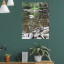 Suche nach friedlich poster Fotografie