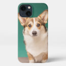 Suche nach corgi iphone hüllen Welpe