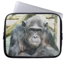 Suche nach schimpanse laptop schutzhüllen Primate