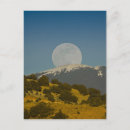 Suche nach cristo poster New mexico