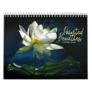 Suche nach lilien kalender Fotografie