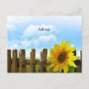 Suche nach fügen postkarten Sonnenblume