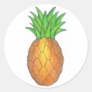 Suche nach ananas aufkleber Tropisch