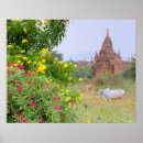 Suche nach bagan poster Pagode